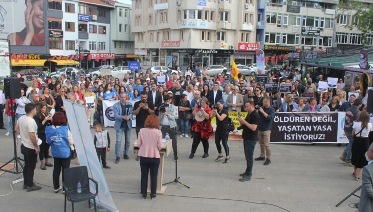 ÇIKMASI BEKLENEN  HAYVAN HAKLARI YASA DEĞİŞİKLİĞİ  VE İSRAİL PROTESTO EDİLDİ