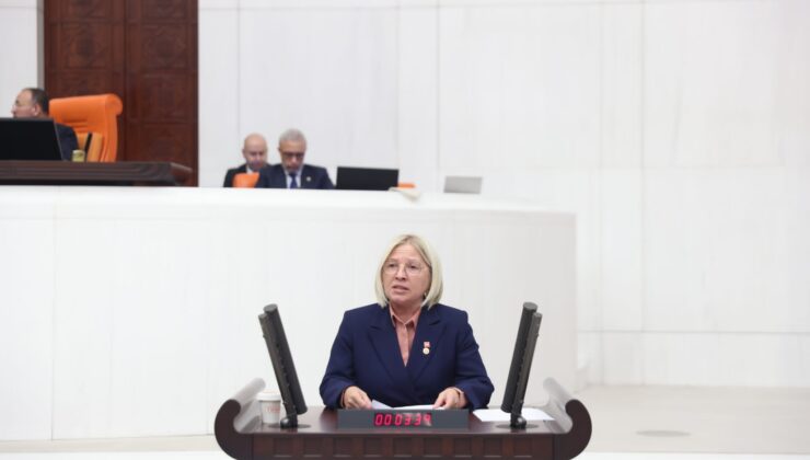 CHP Tekirdağ Milletvekili Nurten YONTAR hububat alım fiyatlarını eleştirdi…