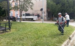 SÜLEYMANPAŞA BELEDİYESİ OT TEMİZLİĞİNE ÖNEM VERİYOR