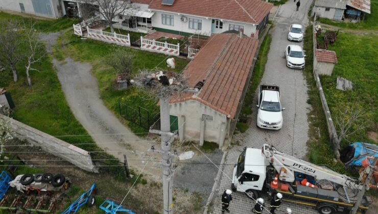TREDAŞ, termal kameralı dronlar aracılığı ile leylek yuvalarında bakım başlattı