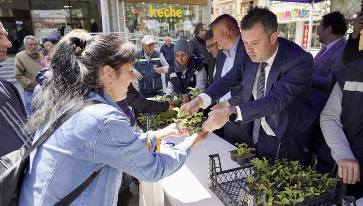 Çorlu Belediyesinden Vatandaşlara Seymen Kavunu Fidesi