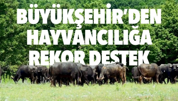 TEKİRDAĞ BÜYÜKŞEHİR BELEDİYESİ’NDEN HAYVANCILIĞA REKOR DESTEK