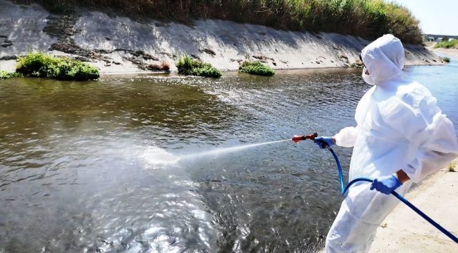 Sineklere Karşı Tek Tek Tüm Mahalleler İlaçlanıyor