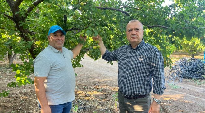 ZİRAİ DONLA MÜCADELE MUCİZESİ!