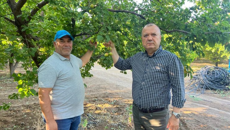 ZİRAİ DONLA MÜCADELE MUCİZESİ!