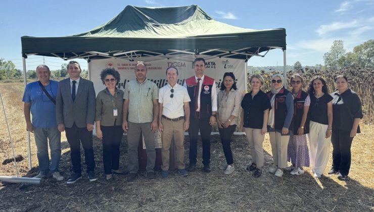 Yerli Ve Milli Hibrit Ayçiçeği’ne Sakarya’da Tarla Günü