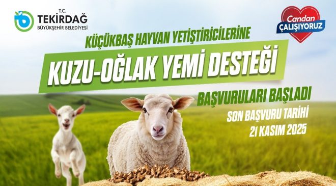 KÜÇÜKBAŞ HAYVAN YETİŞTİRİCİLERİNE KUZU-OĞLAK YEM DESTEĞİ BAŞVURULARI BAŞLADI