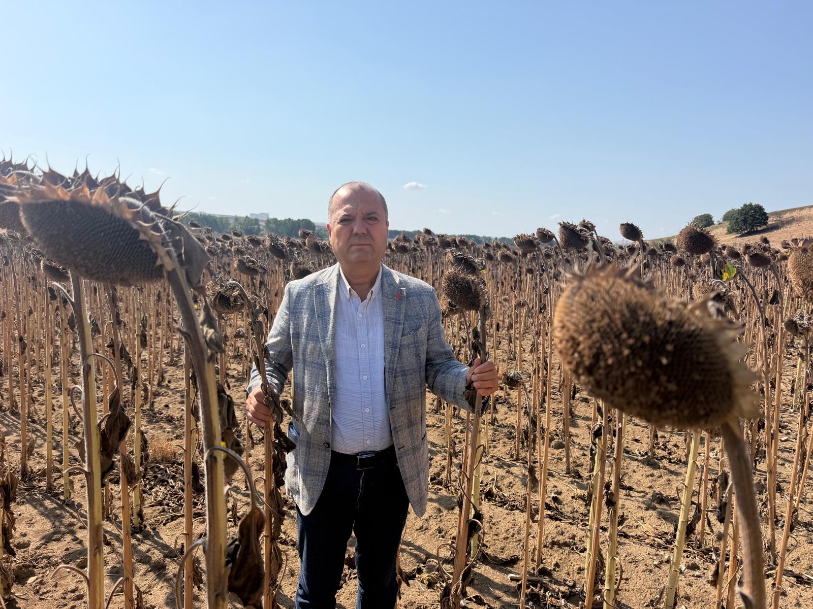 TÜRK ÇİFTÇİSİ İTHALAT LOBİSİNE YEM EDİLDİ